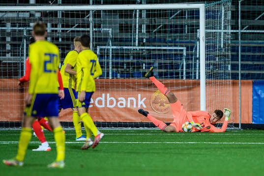 Sveriges målvakt Sebastian Selin