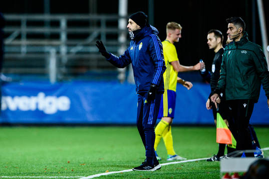 Sveriges förbundskapten Mirza Jelecák