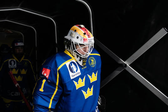 goalkeeper Sara Grahn of Sweden
