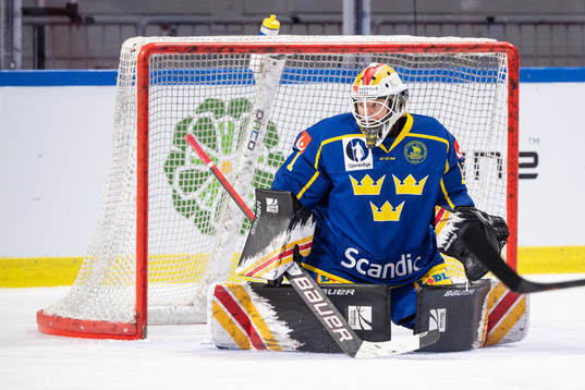 goalkeeper Sara Grahn of Sweden