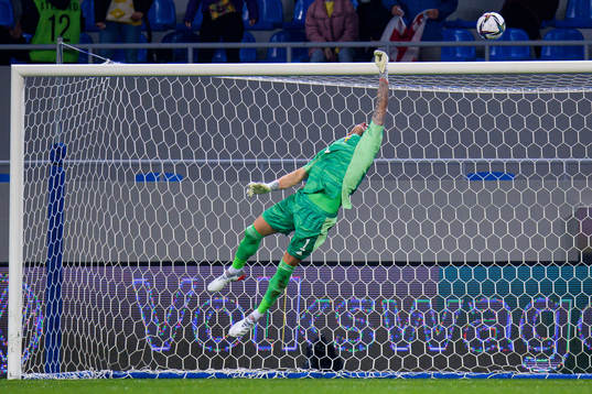 Goalkeeper Robin Olsen of Sweden