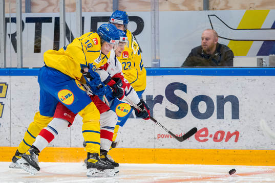 Milton Oscarson and William Wallinder of Sweden against