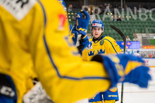 Daniel Ljungman of Sweden celebrates