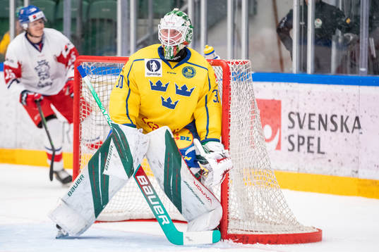 Goalkeeper Calle Clang of Sweden