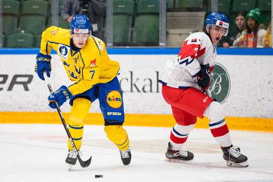 Simon Edvinsson of Sweden and Maten Pinkas of Czech Republic