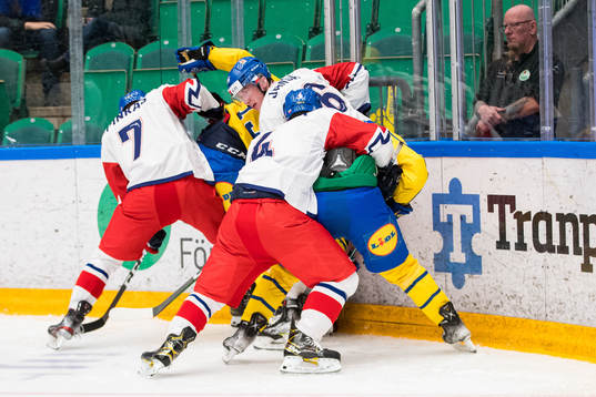 Albert Sjöberg and Linus Sjödin of Sweden in action with