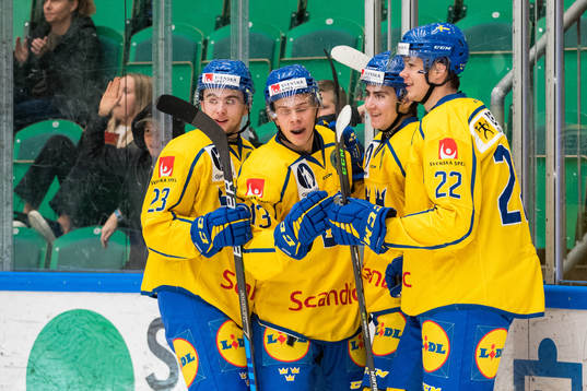 Daniel Ljungman of Sweden celebrate with teammates