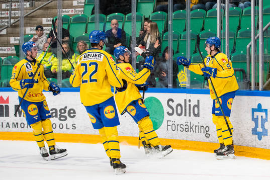 Daniel Ljungman of Sweden celebrate with teammates