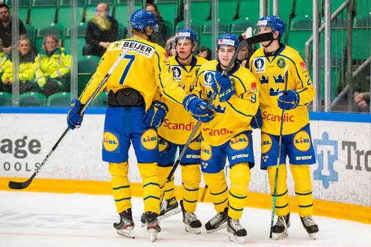 Daniel Ljungman of Sweden celebrate with teammates