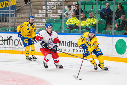 Jiri Tichacek of Czech Republic and Liam Öhgren of Sweden