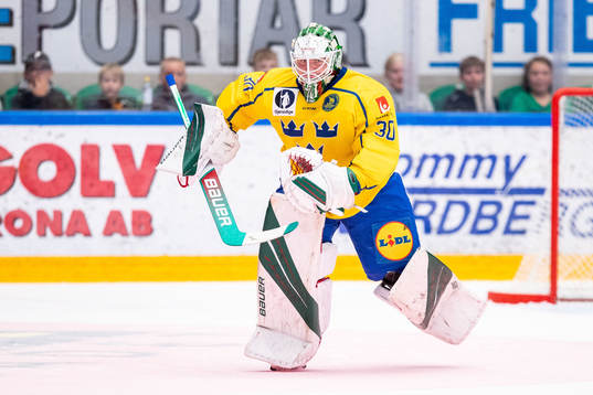 Goalkeeper Calle Clang of Sweden