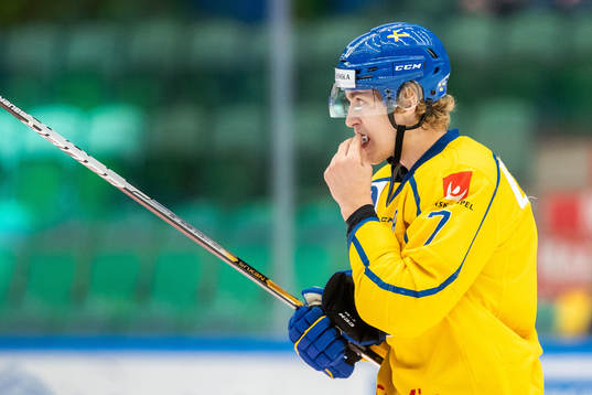Simon Edvinsson of Sweden