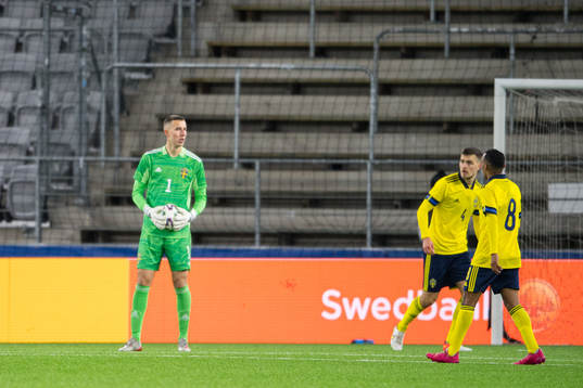 Goalkeeper Samuel Brolin of Sweden