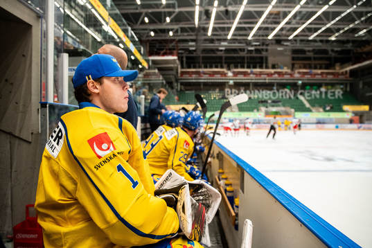 Goalkeeper Jesper Wallstedt of Sweden