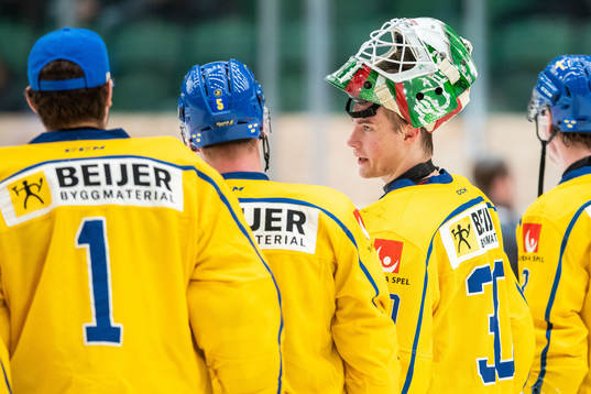 Goalkeeper Calle Clang of Sweden