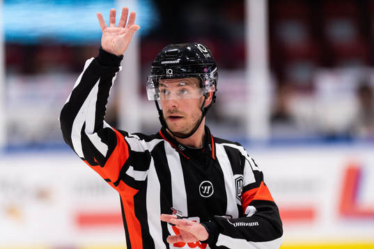 Domare André Hiljanen