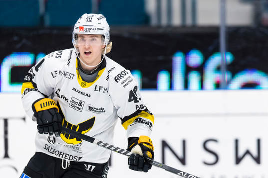 Västerås Isak Skedung