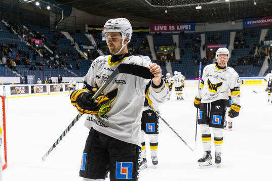 Västerås Roe Logan deppar