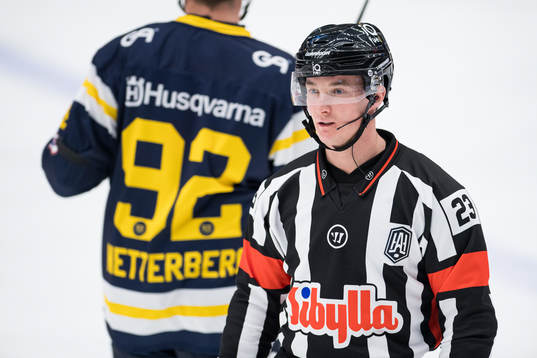 Domare Alexander Österberg