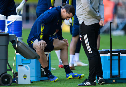Zlatan Ibrahimovic of the Swedish national football team