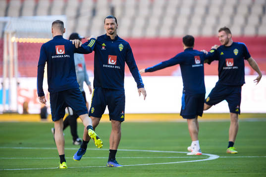 Zlatan Ibrahimovic of the Swedish national football team