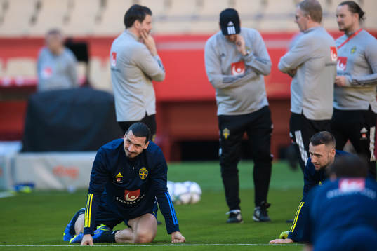 Zlatan Ibrahimovic and Alexander Milosevic of the Swedish