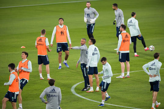 Head coach Luis Enrique of the Spanish national football