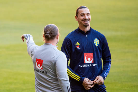 Zlatan Ibrahimovic of the Swedish national football team