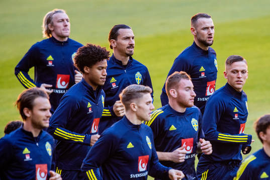 Zlatan Ibrahimovic and Alexander Milosevic of the Swedish