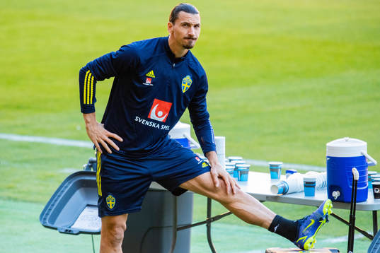Zlatan Ibrahimovic of the Swedish national football team