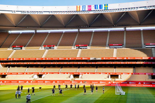 General view of the Swedish national football team