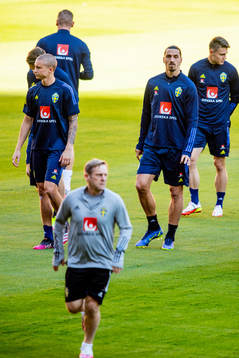 Zlatan Ibrahimovic of the Swedish national football team