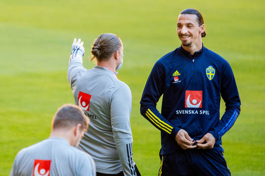 Zlatan Ibrahimovic of the Swedish national football team