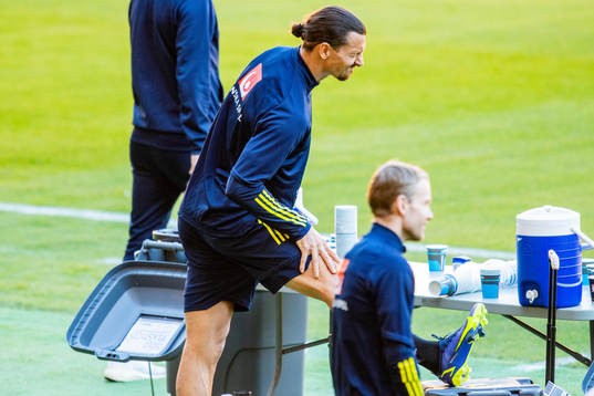 Zlatan Ibrahimovic of the Swedish national football team