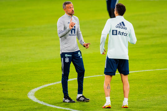 Head coach Luis Enrique of the Spanish national football