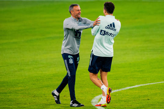 Head coach Luis Enrique of the Spanish national football