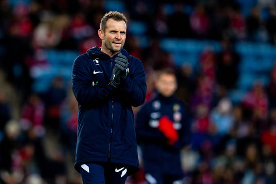 Thomas Ødegaard, manual therapist of Norway