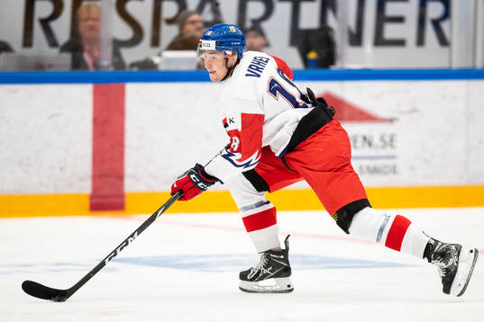 Stanislav Vrhel of Czech Republic