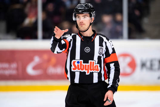 Domare Filip Eriksson