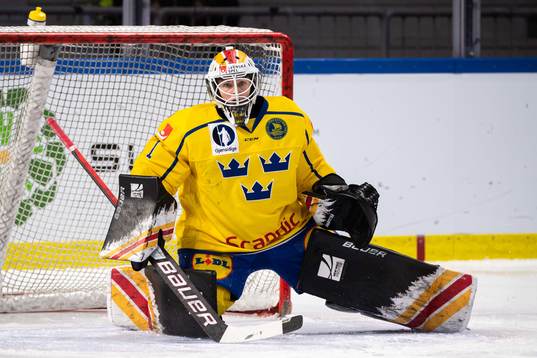 Goalkeeper Sara Grahn of Sweden