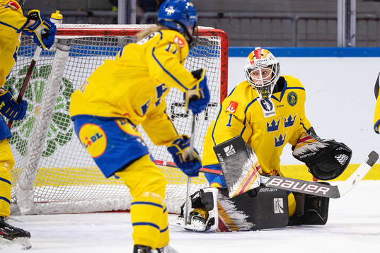 goalkeeper Sara Grahn of Sweden