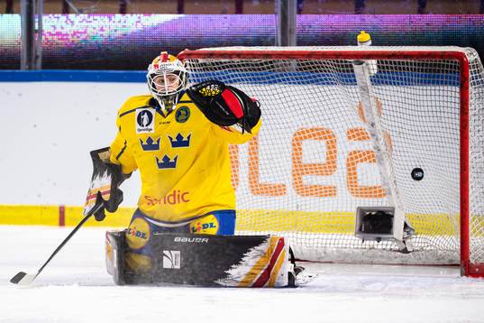 Goalkeeper Sara Grahn of Sweden lets in the 2-1 goal