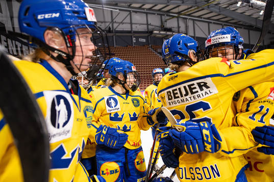 Sara Hjalmarsson, Lina Ljungblom, Hanna Olsson and Josefin