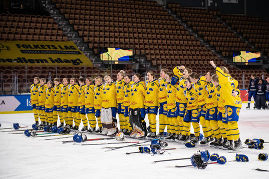 Players of Sweden