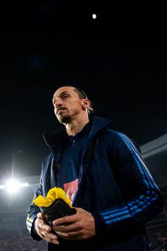 Zlatan Ibrahimovic of Sweden