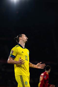 Zlatan Ibrahimovic of Sweden looks dejected