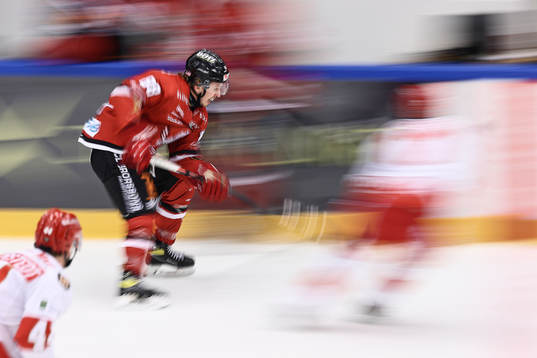 Vita Hästens Corey Mackin