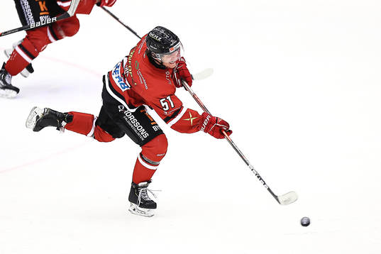 Vita Hästens Brandon Fehd