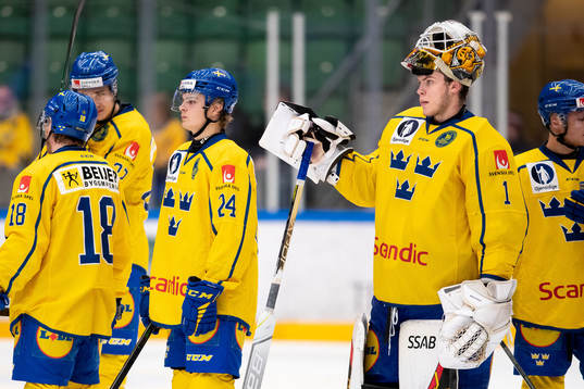 Elliot Ekmark and goalkeeper Jesper Wallstedt of Sweden