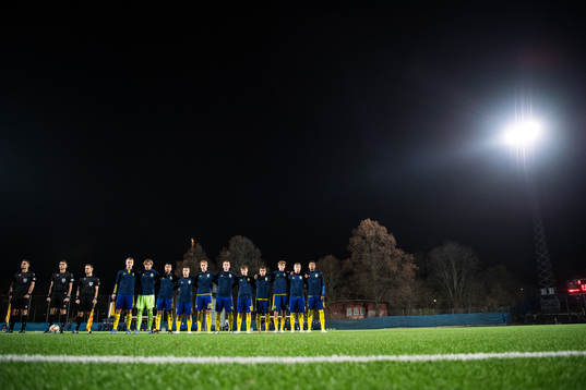 Players of Sweden